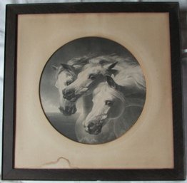 Vintage 'PHARAOH'S HORSES' Print, Equestrian, Approx 24' X 24,' Framed