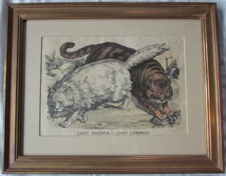 Vintage ANGORA CAT - COMMON CAT Print, Approx 20' X 16,' Framed