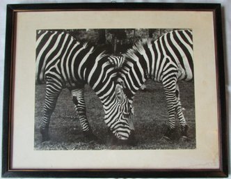 Contemporary MELES Photo, Entitled 'STARES & STRIPES' Approx 19' X 15,' Simply Framed