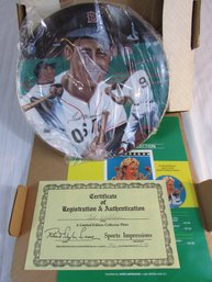 Vintage SPORTS IMPRESSIONS Collector Plate, TED WILLIAMS, Certificate Of Authenticity, Appx 10.5'