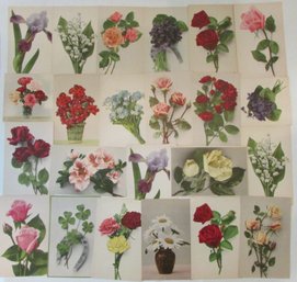 NOS Lot Of 23! Vintage POSTCARDS, MARTIN ROMMELL & Co. Publishers, Circa 1920, Multicolor FLORAL