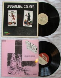 Lot Of 2! Vintage VINYL Record Albums, UNNATURAL CAUSES & BRUTON MUSIC