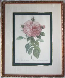 Vintage Bombay Co, PJ REDOUT Print, Pink 'The ROSE,' Approx 28.5' X 23.5,' Nicely Framed