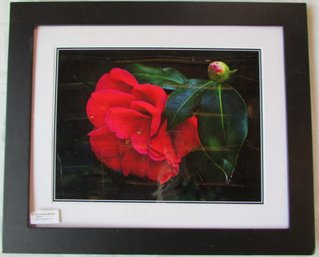 Contemporary Unsigned Digital Pigment Print, Entitled 'RED CAMELIA With BUD' Approx 23' X 19,' Simply Framed