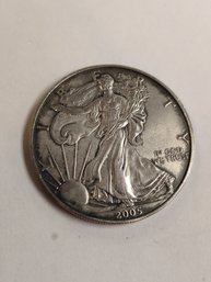 2005 Walking Liberty Silver Dollar