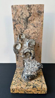 Ammonite Marine Fossil Sculpture