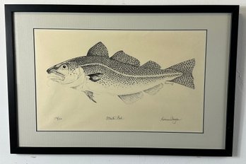 Dianne Congdon Atlantic Cod Lithograph Fish Print