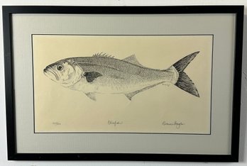 Dianne Congdon Bluefish Lithograph Fish Print