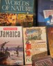 #27- Book Lot Assorted