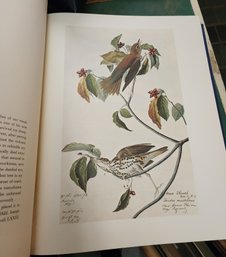 The Original Watercolor Paintings Books By John James Audubon