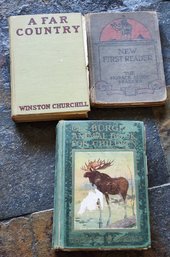 Antique Book Lot 2