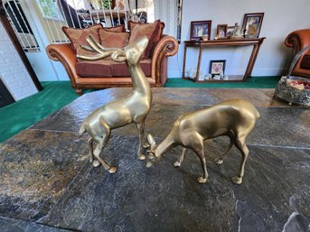 Brass Deer