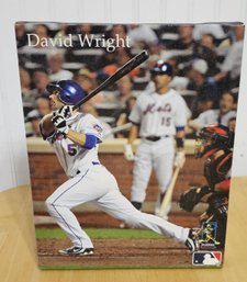 8x10 David Wright Picture- New