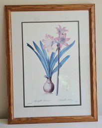 #37 - 22 X 29 Framed Picture