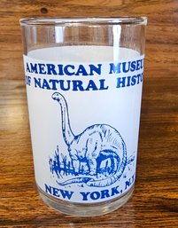 #39 - American Museum Of Natural History Glass