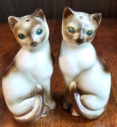 #61 - Siamese Cat Salt & Pepper From Japan