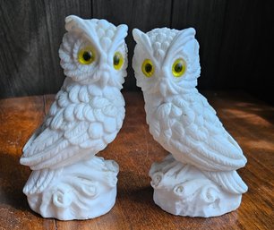 #187 - Pair Of Owls - Italy