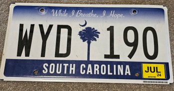 South Carolina License Plate- WYD 190