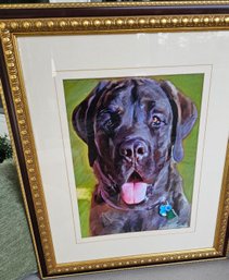 22 X 19 - Framed Print Of An English Mastiff