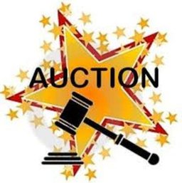 Auction & Shipping Details - PLEASE READ