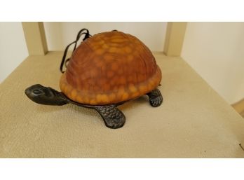 Turtle Light