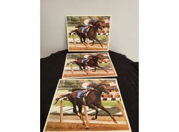 3 Cigar - Racehorse Photo