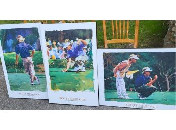 3 Large Golf Pictures - Scott Medlock - Bruce McGaw Graphics