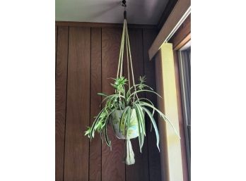 43' Hanging Faux Greenery