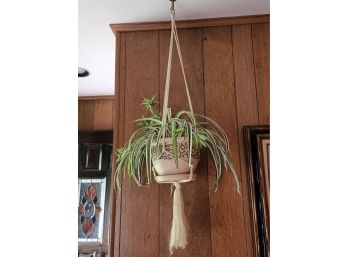 Hanging Faux Plant