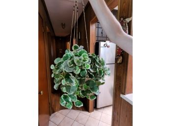 Pair Of 27' Faux Potted Plants