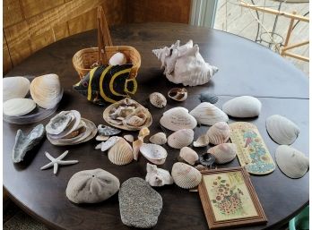 Shell Collection