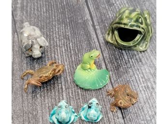 Miniature Frogs, Crab, Salamander