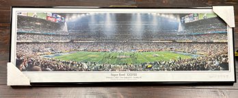 Adam Vinatieri Autographed NE Patriots Large Panoramic Framed Photo Super Bowl 36
