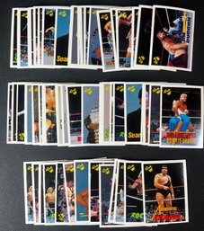 1989 CLASSIC WWF CARDS LOT OF 63