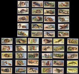1939 Player Cigarette Tobacco Cards Animals Of The Countryside Set Of 50