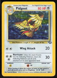 Pidgeot-Holo 1999 Pokemon TCG Jungle  #8/64