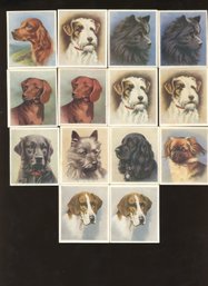 1939 GODFREY PHILLIPS LTD CIGARETTES OUR DOGS TOBACCO CARD LOT
