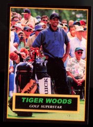 2001 TIGER WOODS PROMO CARD /10,000