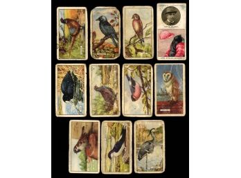 1930S GALLAHER CIGARETTE CARDS LOT WILD ANIMALS