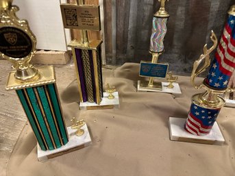 Trophy Lot Of Four Trophies