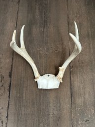 Antler Wall Mount Wall Hanging Decor