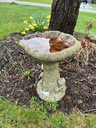 Bird Bath Front Yard Mushroom