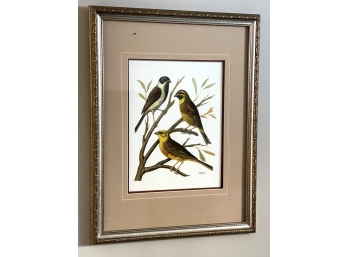 Lovely Matted And Framed Avian Art Print, W Rutlledge.