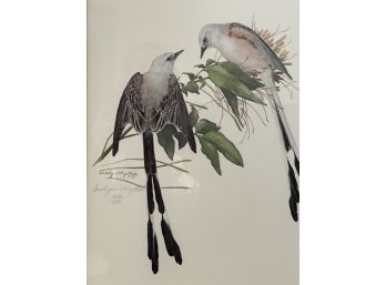 Lovely Avian Art Print, Pencil Signed And Numbered, Carolyn Mejstrik 446/500