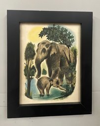 Awesome Vintage Elephant Print, Nicely Framed