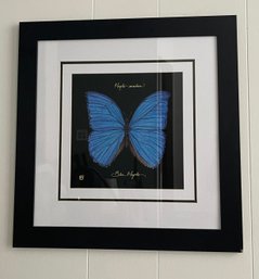 Blue Morpheus  ButterflyArt Print:  Nicely Matted And Framed