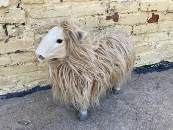 Sheep Needs New Home And Nose!