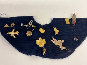 A Dozen Little Lapel Pins From A Variety Of Institutions