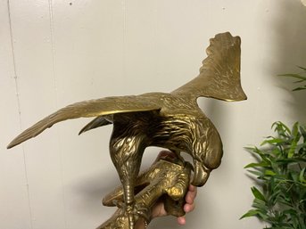 Large Brass Eagle Very Heavy And Beautiful