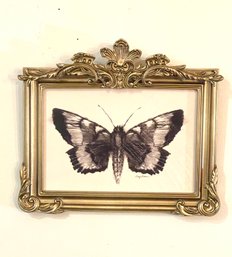 Sweet Butterfly Art Piece In Ornate Gold Frame, Artist Info On Back